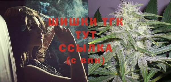стафф Струнино