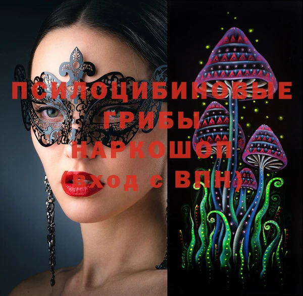 стафф Струнино