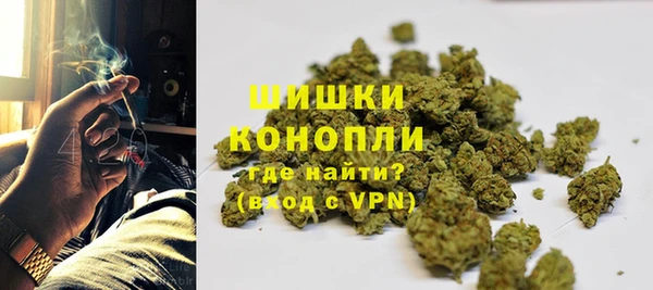 стафф Струнино