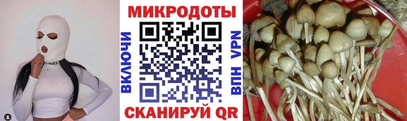 Галлюциногенные грибы GOLDEN TEACHER  Ворсма 